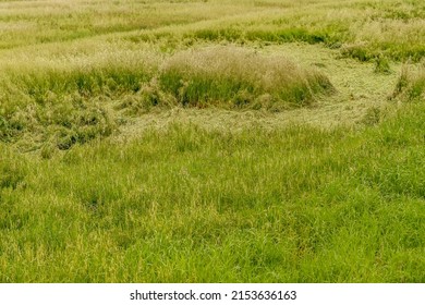 Aerial View Of Strange Circular Shapes In A Green Cultivated Field