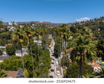 Aerial view of a street lined with tall palm trees in Hollywood, Los Angeles. The iconic Hollywood Sign is visible in the sunlit hills, surrounded by greenery. - Powered by Shutterstock