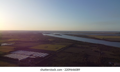 Aerial View Of Sugar Cane Plantations On The Shores Of The Uruguay River