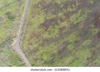 Aerial View Of Summer Field Grassland