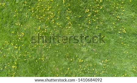 Similar – Image, Stock Photo Aerial View Spring Green Field And Forest Landscape. Top View Of Field And Forest Belt. Bird’s Eye View