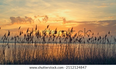 Similar – Image, Stock Photo beautiful evening light shining through window of a cottage