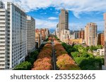 Aerial view of Taipei city in Taiwan with flamegold rain tree blossom