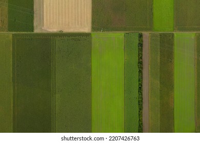 Aerial View Taken By A Drone Showing Cultivated Farmland Crossed By Power Line