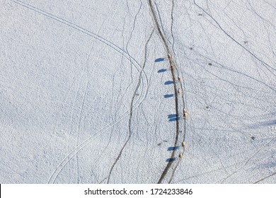 An aerial view taken from a helicopter of sheep walking through a snow covered field in winter. Many farm animals can be seen in a line moving through a beautiful snowy landscape - Powered by Shutterstock