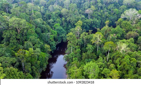 Taman Negara Images Stock Photos Vectors Shutterstock