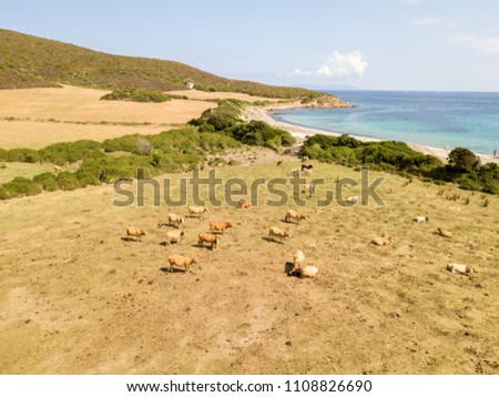 Aerial View Tamarone Beach Plage De Stock Photo Edit Now