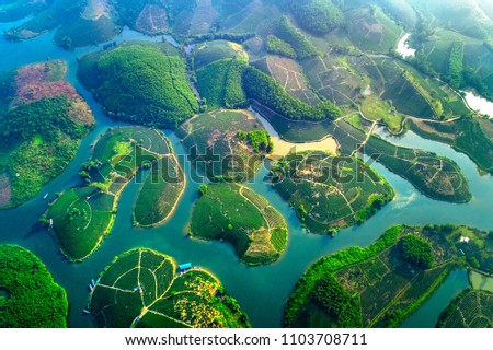 Aerial view of tea Thanh Chuong tea hill, Nghe An, Vietnam.  Imagine de stoc © 