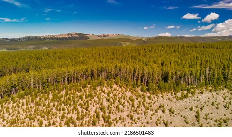 Aerial View Of Tensleep Reservoir Lake In Wyoming, Summer Season.