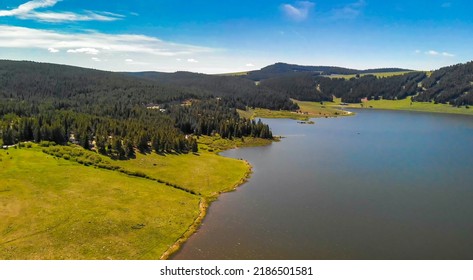 Aerial View Of Tensleep Reservoir Lake In Wyoming, Summer Season.