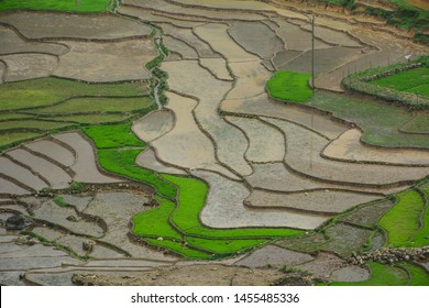 Aerial view of the terraced rice field in Sapa, Vietnam. Sapa is a beautiful, mountainous town in northern Vietnam along the border with China. - Shutterstock ID 1455485336