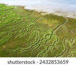 Aerial view of tidal channels and gullies, Saeftinghe, The Netherlands