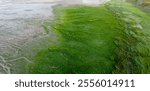 Aerial view of the tidal streams of the Slurfter, Rotterdam, The Netherlands