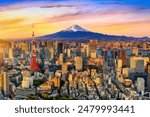 Aerial view of Tokyo cityscape with Fuji mountain in Japan.