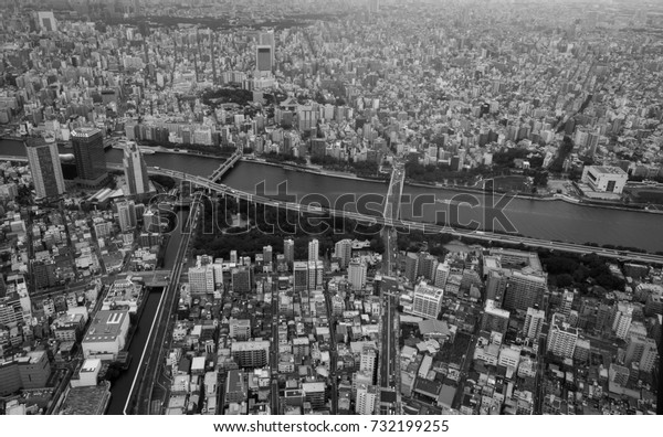 Aerial view of Tokyo
Japan, black and white