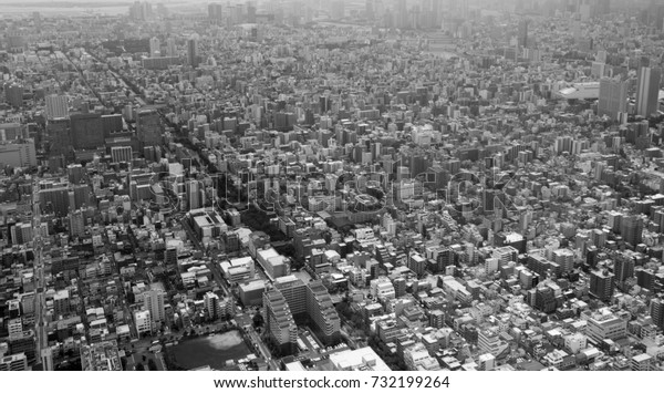 Aerial view of Tokyo\
Japan, black and white