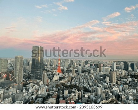 Aerial view of Tokyo tower and Tokyo cityscape view at dusk, Roppongi Hills , Tokyo, Japan