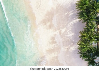 Aerial view top view Beautiful topical beach with white sand coconut palm trees and sea. Top view empty and clean beach. Waves crashing empty beach from above. With copy space. - Shutterstock ID 2122883096