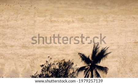 Aerial view top view of beautiful topical Queensland, Australia. Golden sandy textured beach covered in footprints with palm tree shadows casting on sand. Pristine summer paradise backdrop for travel.