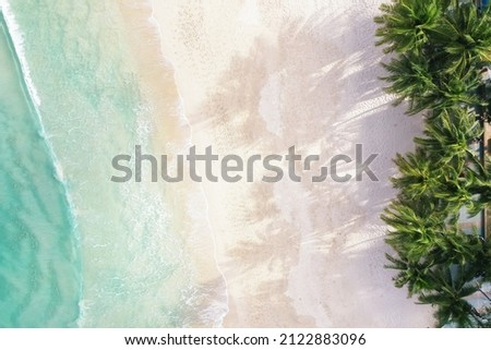Aerial view top view Beautiful topical beach with white sand coconut palm trees and sea. Top view empty and clean beach. Waves crashing empty beach from above. With copy space.