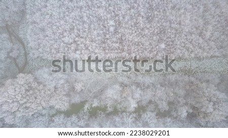 Aerial view or top view of winter forest, pine tree with snow covered. Winter background shot by a drone. High quality photo