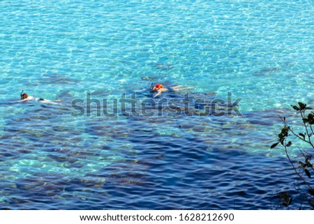 Aerial view of tourists snorkeling  mask dive underwater with tropical fishes in coral reef sea pool
