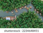 AERIAL VIEW, TOURISTS FROM THAILAND, KOREA, AMERICA AND JAPAN ARE RELAX AND EXPERIENCING A BASKET BOAT TOUR AT THE COCONUT WATER ( MANGROVE PALM ) FOREST IN CAM THANH VILLAGE, HOI AN,QUANG NAM,VIETNAM