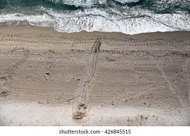 Aerial view of the tracks from a leatherback sea turtle who came ashore to lay her eggs.
