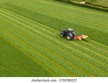 Aerial View Of A Tractor Cutting A Grass Crop In A Field In Somerset, England, UK 