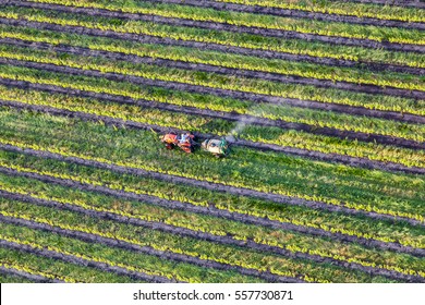 Aerial View Of A Tractor In A Field, Napa, California, USA 