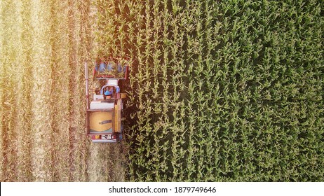 Aerial View Of Tractor Harvesting In Corn Field. Drone Shot Flying