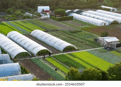 aerial view traditional organic farming in Spain vegetable gardens and greenhouses and material huts in green fields of vegetables legumes lettuce in spring - Powered by Shutterstock