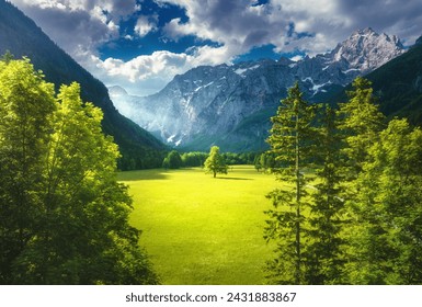 Aerial view of tree in green alpine meadows in mountains at sunset in summer in Logar valley, Slovenia. Top drone view of field, green grass, forest, rocks, blue sky with clouds and sunlight. Nature - Powered by Shutterstock