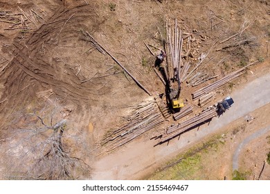 Aerial View Of Tree Removal Crane Operator Loading Logs On To Truck