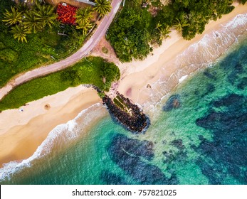 Aerial view of the tropical beach with palm trees on the shore and coral reef in the sea. Sri Lanka