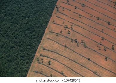 Aerial view of tropical deforestation, Mato Grosso do Sul, Pantanal, Brazil