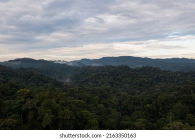 Aerial View Of A Tropical Forest Canopy - Nature Background Of The Amazon