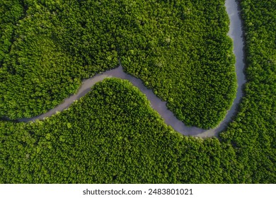 Aerial view tropical rain forest mountain river nature landscape Thailand - Powered by Shutterstock