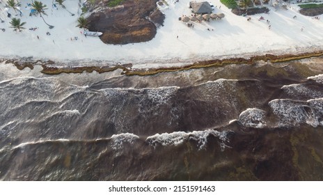 Aerial View Tulum With Sargasso