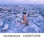 Aerial view of Turku Cathedral at winter with frost covered trees and snow