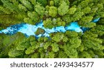 Aerial View of Turquoise River Winding Through Lush Green Forest