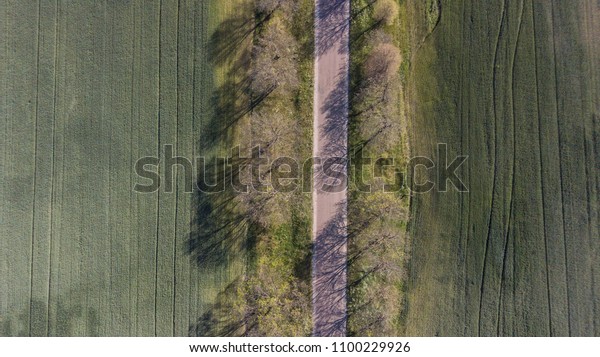 Aerial\
view of twisting road among the forest and\
trees.