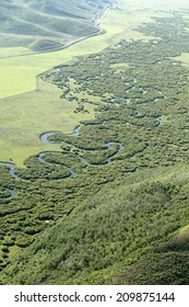 An aerial view of the twists and curves of a naturally occurring meandering stream.