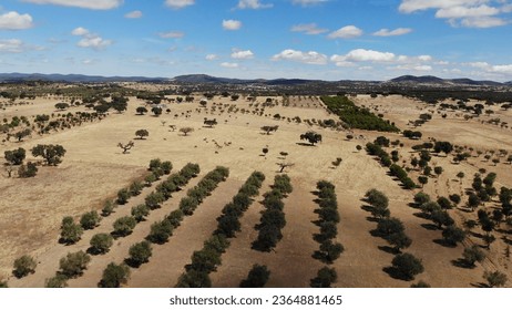 Aerial view of a typical Alentejo dry landscape located in Portugal. Rural Alentejo landscape in Arronches, Portalegre.   - Shutterstock ID 2364881465