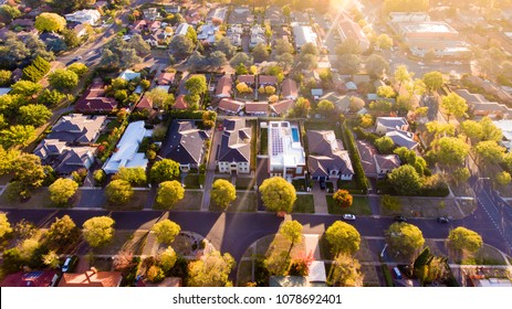 Aerial View Of A Typical Leafy Suburb In Australia