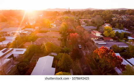 Aerial View Of A Typical Leafy Suburb In Australia