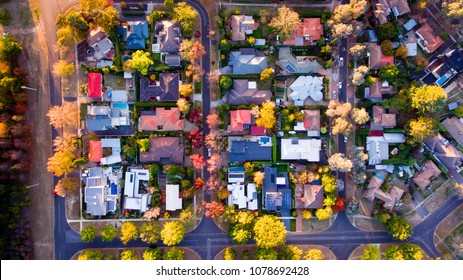 Aerial View Of A Typical Leafy Suburb In Australia