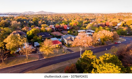 Aerial View Of A Typical Leafy Suburb In Australia