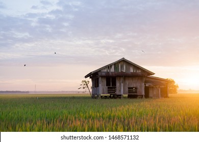 Aerial view of the unique wooden house at Sekinchan,Selangor,Malaysia,it is also beautify with sunlight that shimmering throughout the scenery. - Shutterstock ID 1468571132