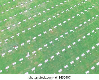 Aerial View Of US Military Cemetery In Houston, Texas, US. Endless Row Of White Marble Gravestones, Grave Markers With Flags And Flowers On Memorial Day To Honor Fallen Heroes In War, Military Service